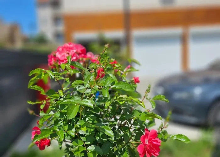 Διαμέρισμα Sky *